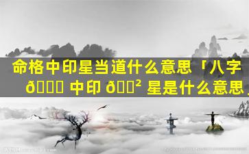 命格中印星当道什么意思「八字 🍀 中印 🌲 星是什么意思」
